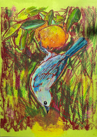 Untitled